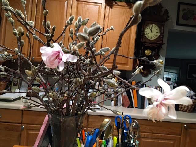 pussy willow branches — Home Decor — Made Just For U